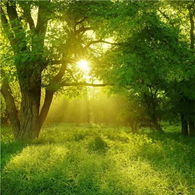 美国债务危机将近？达里奥“花式警告”：就像一艘驶向岩石的船！