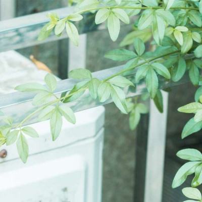 04版要闻 - 把赣剧唱到年轻人心坎上（点赞新时代）