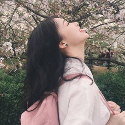 欢乐养猪场红包版