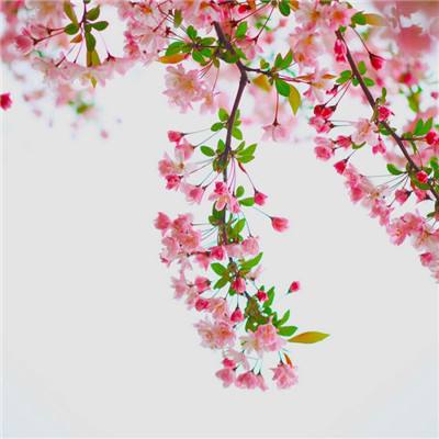 第121期-偷懒爱好者周刊 25/02/19