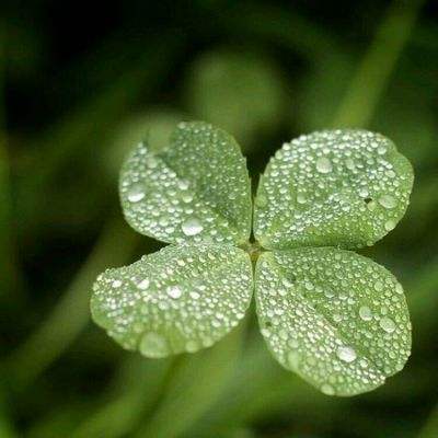 欧洲杯买球在哪儿买相关推荐1