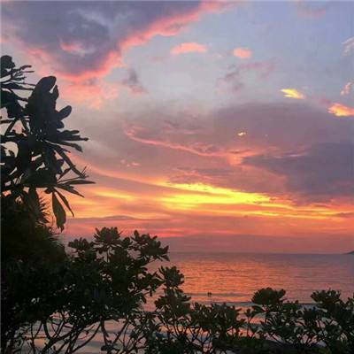 千赢体育官网登录截图