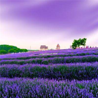 新型牙线可通过唾液监测压力水平