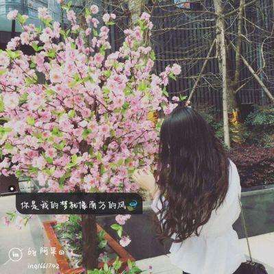 僵尸射手破解版