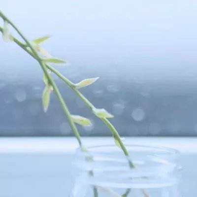 国务院部门网站