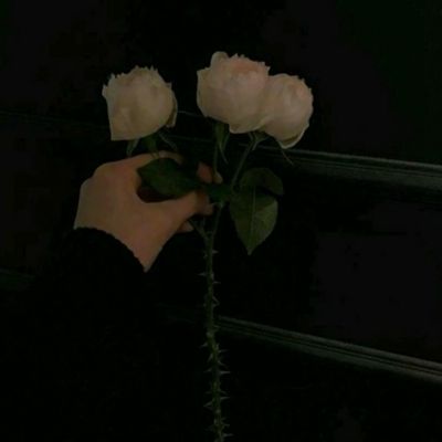 og电竞官网下载