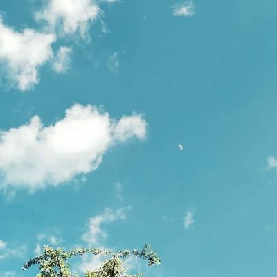 模拟挖掘机建造大楼